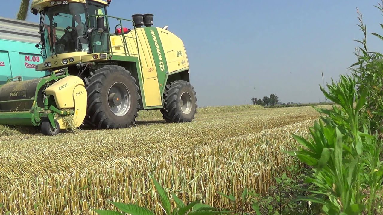 Falciatura e trinciatura triticale: John Deere 6190R + Krone Easy Cut x 3 e Krone BiG X 700