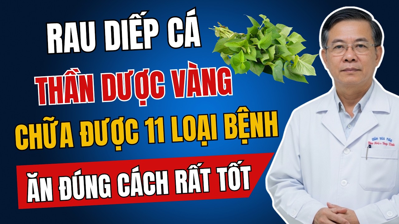 RAU DIẾP CÁ Chữa Được 11 LOẠI BỆNH - Bác Sĩ Hướng Dẫn Ăn Đúng Cách