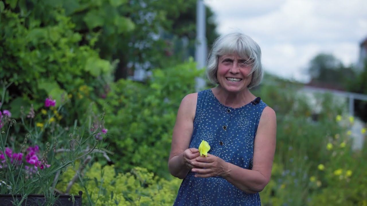 Essbare Bl&uuml;ten f&uuml;r Eisw&uuml;rfel, S&uuml;&szlig;speisen, Getr&auml;nke | Sommer-Kr&auml;uter mit Ruth Pfennighaus