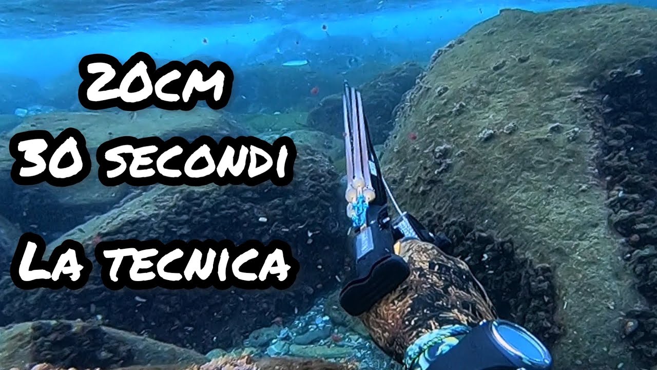 Pescasub in 20cm d'acqua e 30 secondi