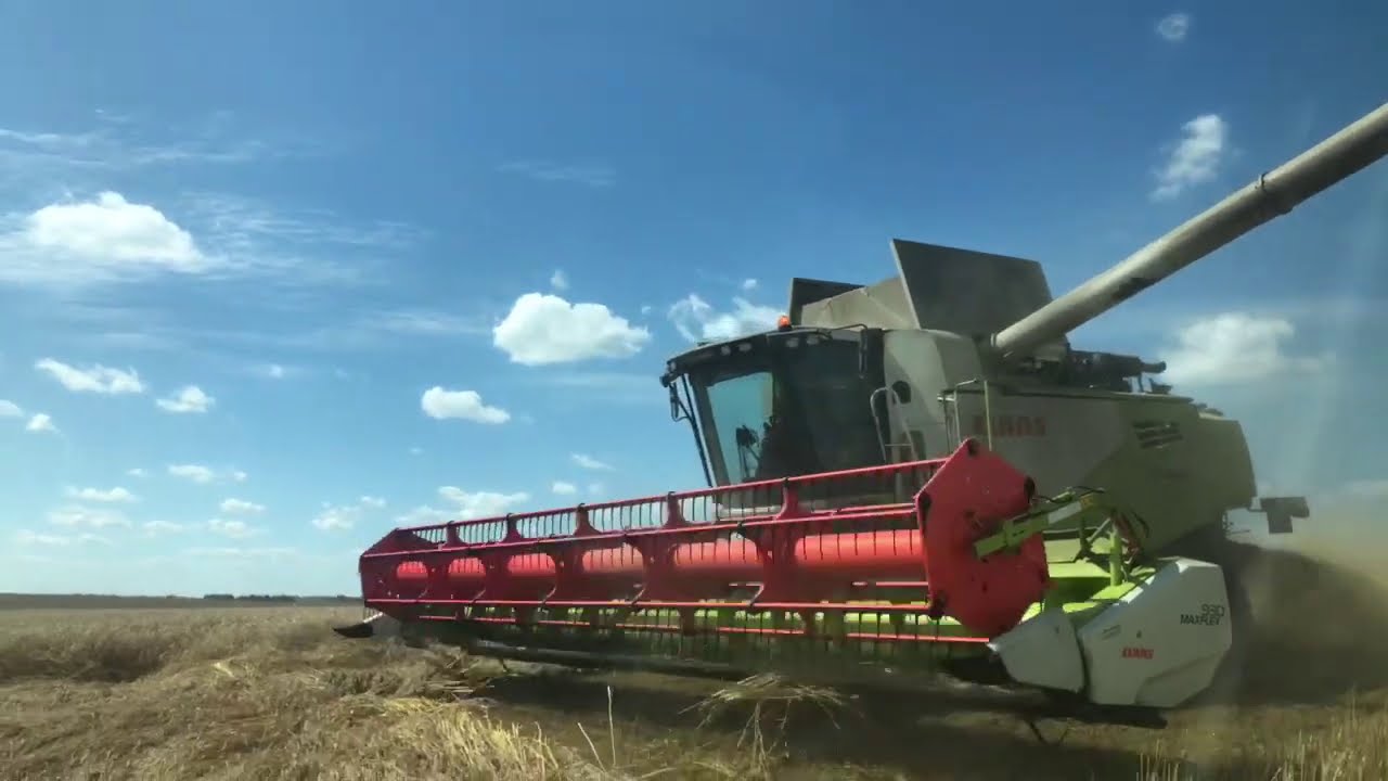 CLAAS TUCANO 580 Уборка пшеницы в Брянской области 2020