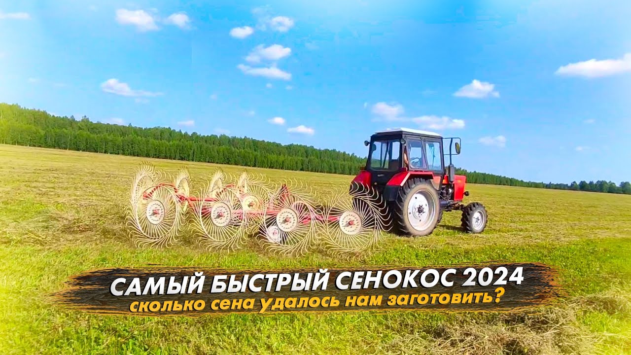 Сенокос 2024 завершен! Сколько сена заготовили, хватит ли нам сена на зиму?