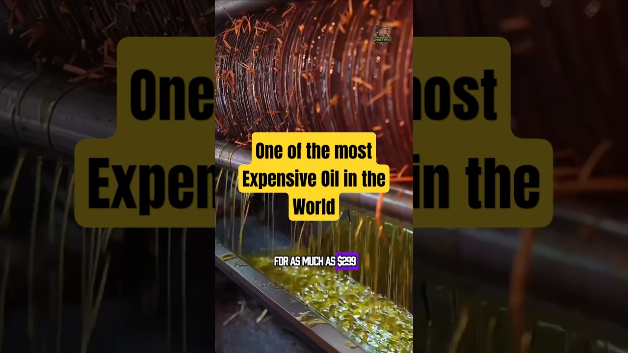 One of the most Expensive Oil in the World #rapeseed #expensiveoil