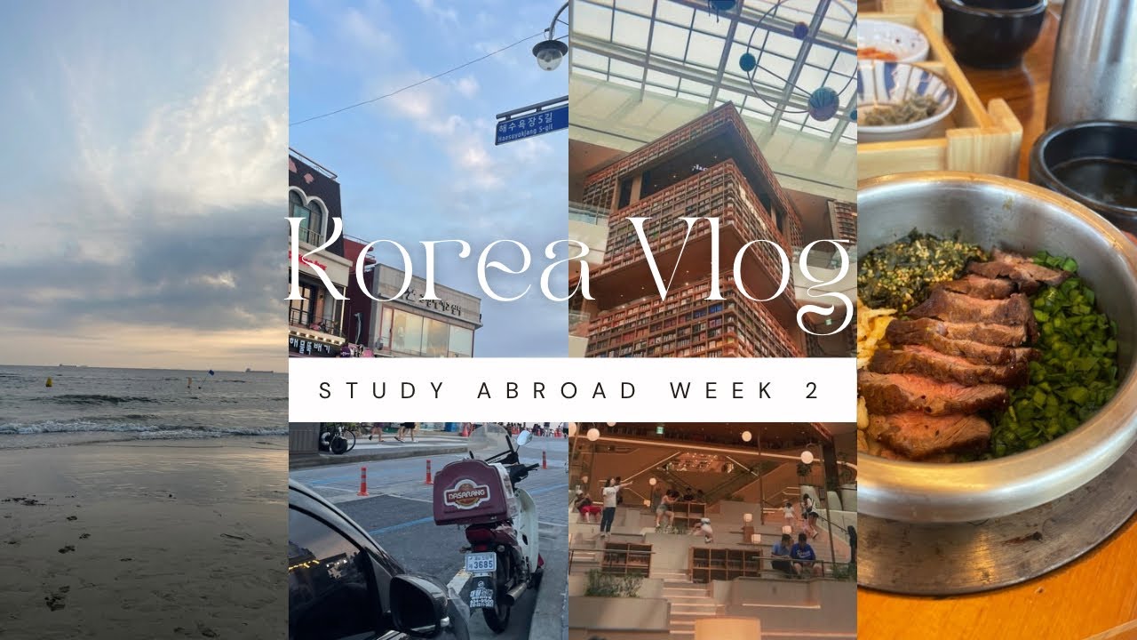 KOREA VLOG | Study Abroad, Gyeongju, Daecheon Beach, Cheonan, Suwon