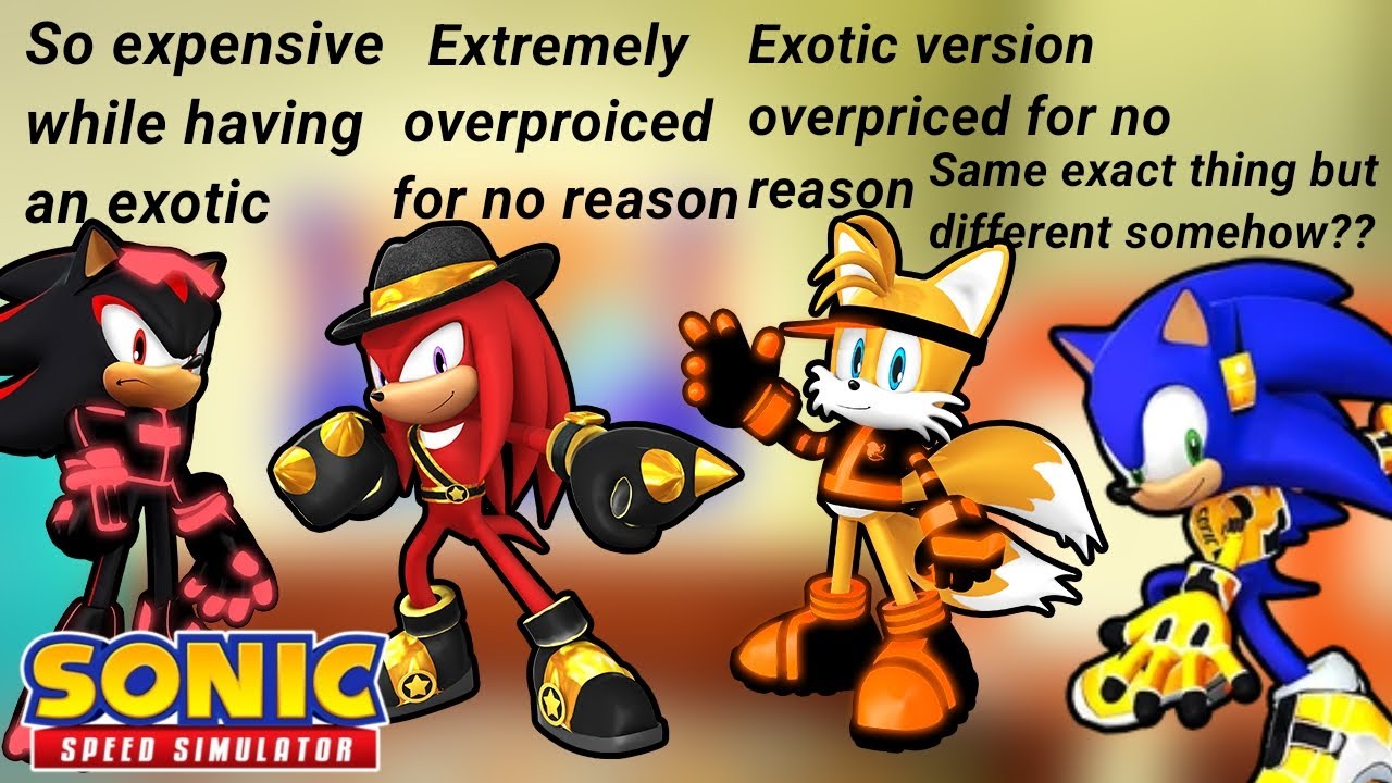Sonic Speed Issues: 4. Sonic Speed Simulator will be dead in 2026!