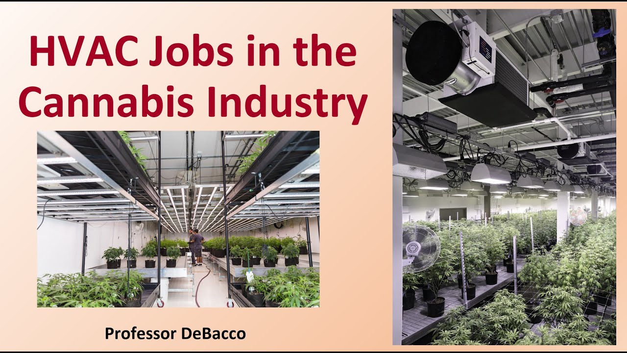 HVAC Jobs in the Cannabis Industry