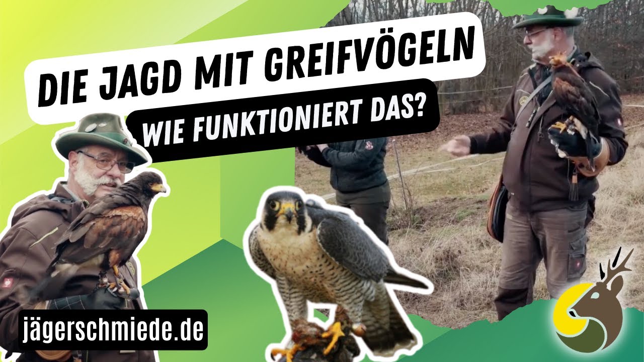 Die Falknerei und Beizjagd - Mach dich fit für die Jagdprüfung!  *Praktischer Jagdbetrieb*