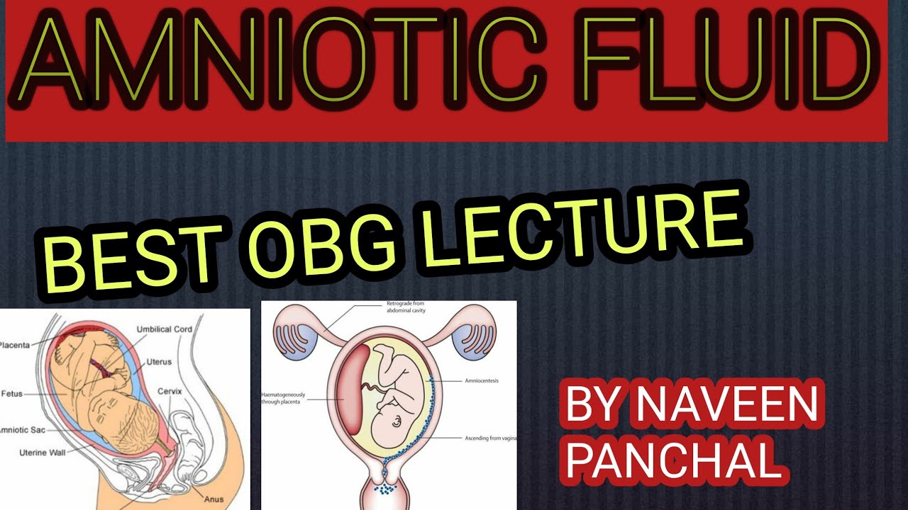 AMNIOTIC FLUID #OBG LECTURE#MEDICAL#NURSING LECTURE IN HINDI