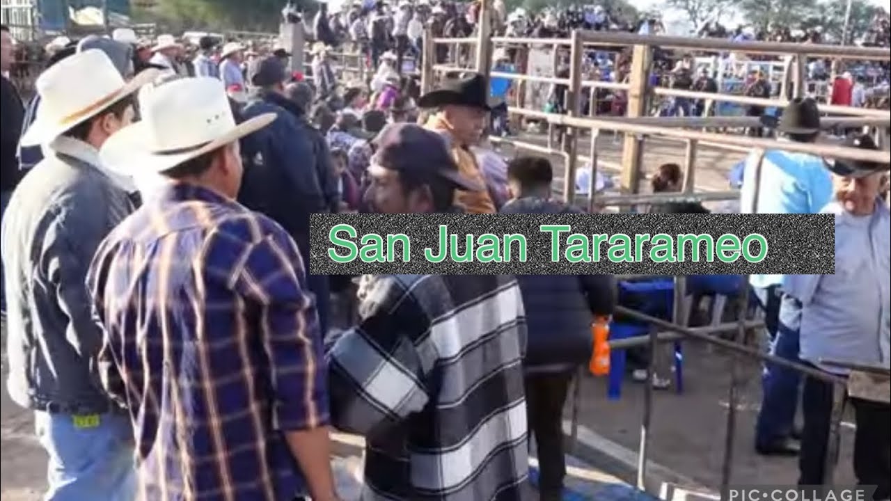 Fiesta de San Juan Benito Juárez 2024