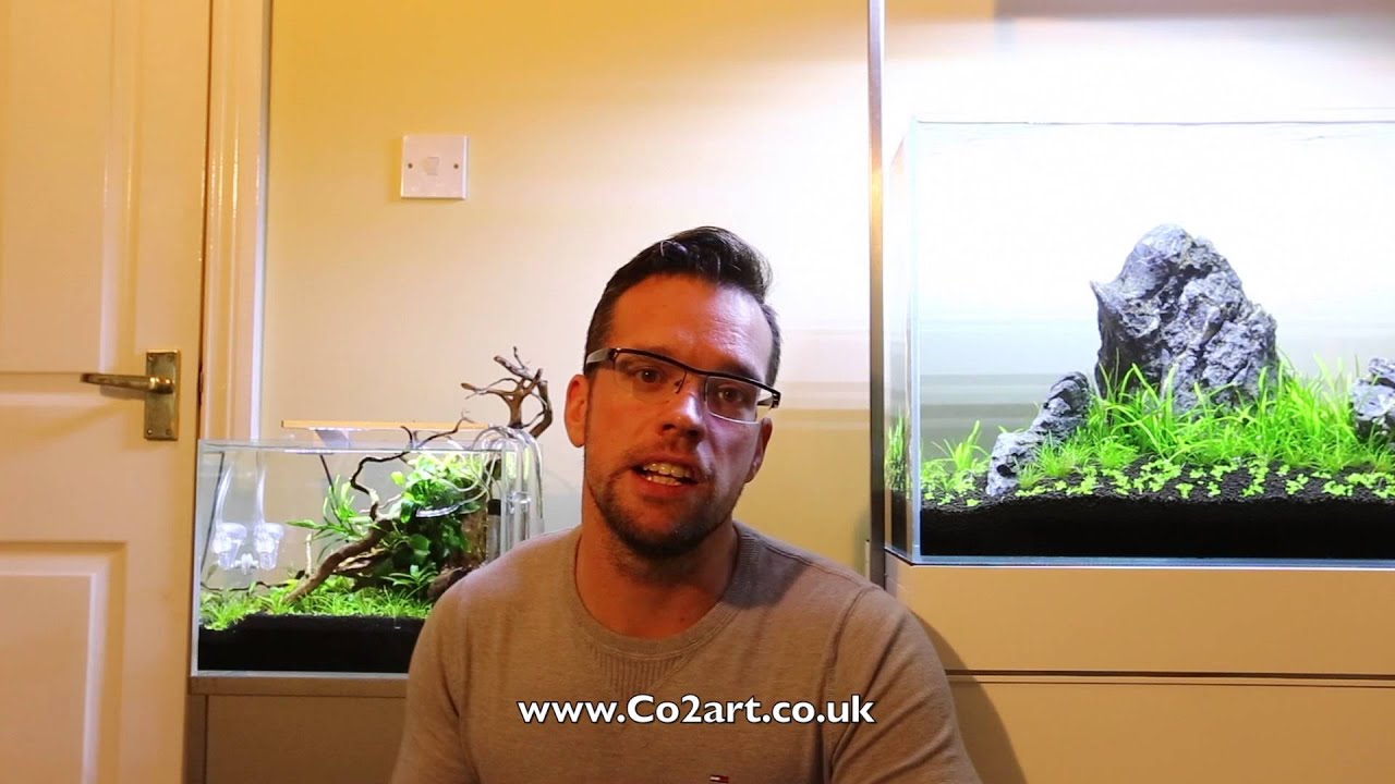 Announcing the UKAPS Aquascaping Experience Raffle