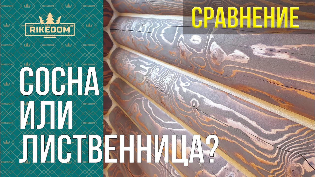 Сосна или Лиственница?  Угадайте) абразивно-струйная шлифовка и покраска/защита от RiKEDOM!