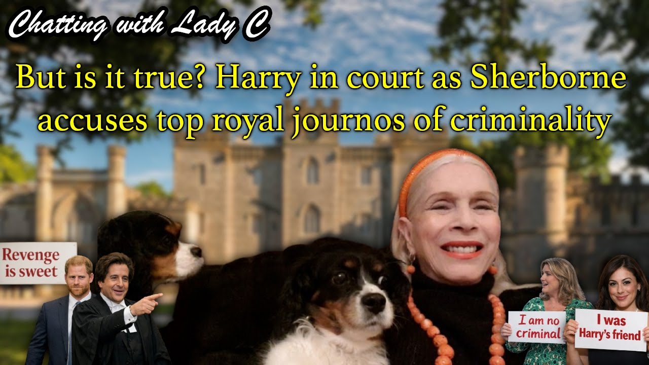 But is it true? Harry in court as Sherborne accuses top royal journos of criminality