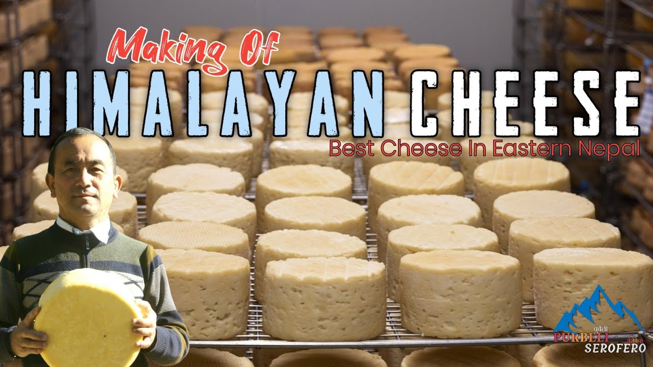HIMALAYAN CHEESE MAKING PROCESS|CHEESE INDUSTRY IN EASTERN NEPAL|Purbeli Serofero