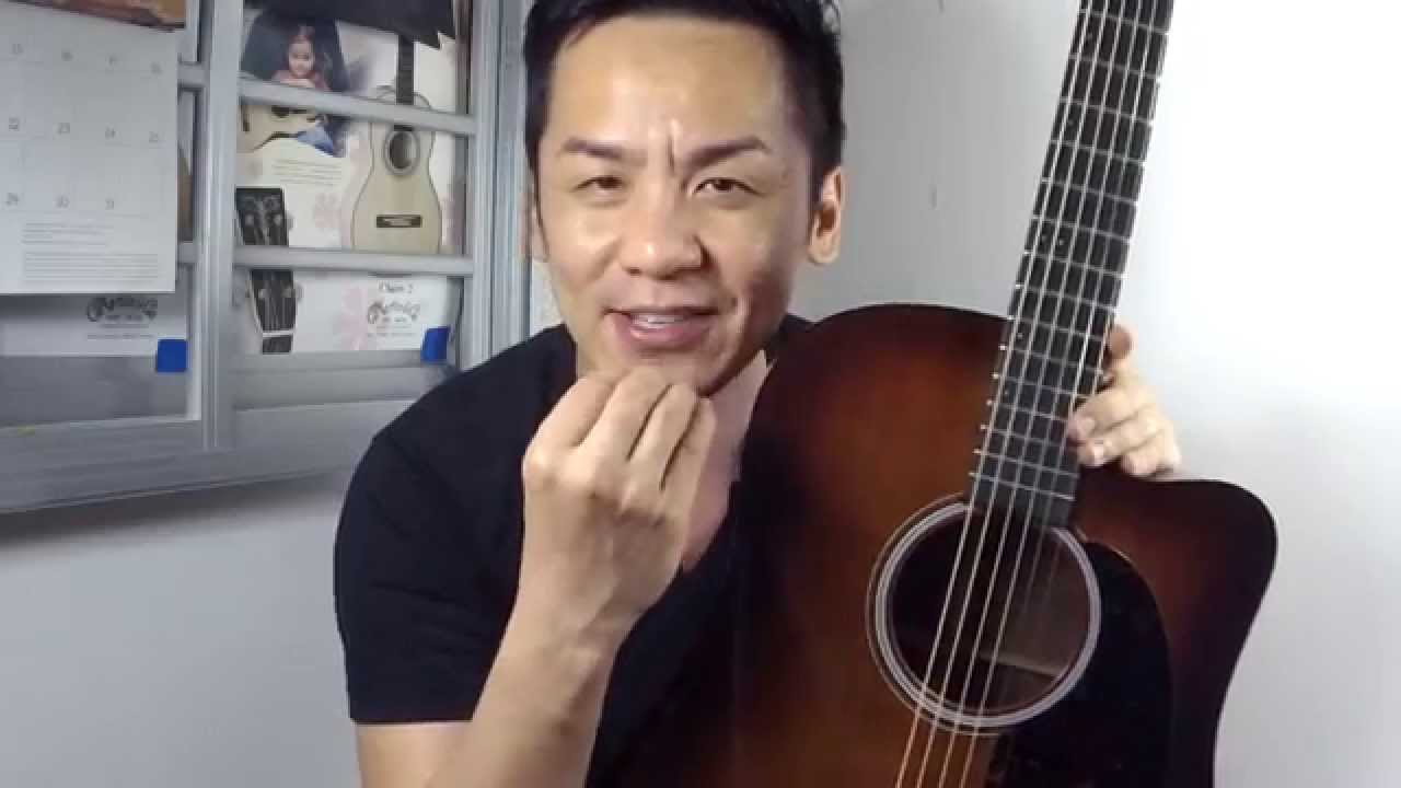 Martin DCPA4 Shade Cutaway Guitar Review in Singapore