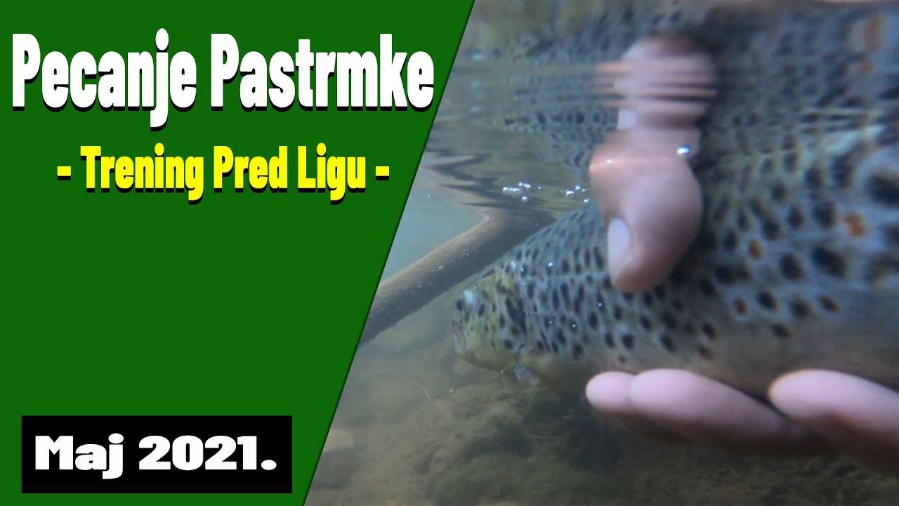 Pecanje Pastrmke na Varalice u Proleće 4K [Leptir, Guma i Vobler]