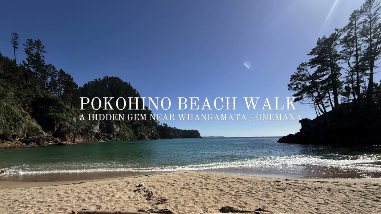 Pokohino Beach Walk a hidden gem near Whangamatā  Onemana