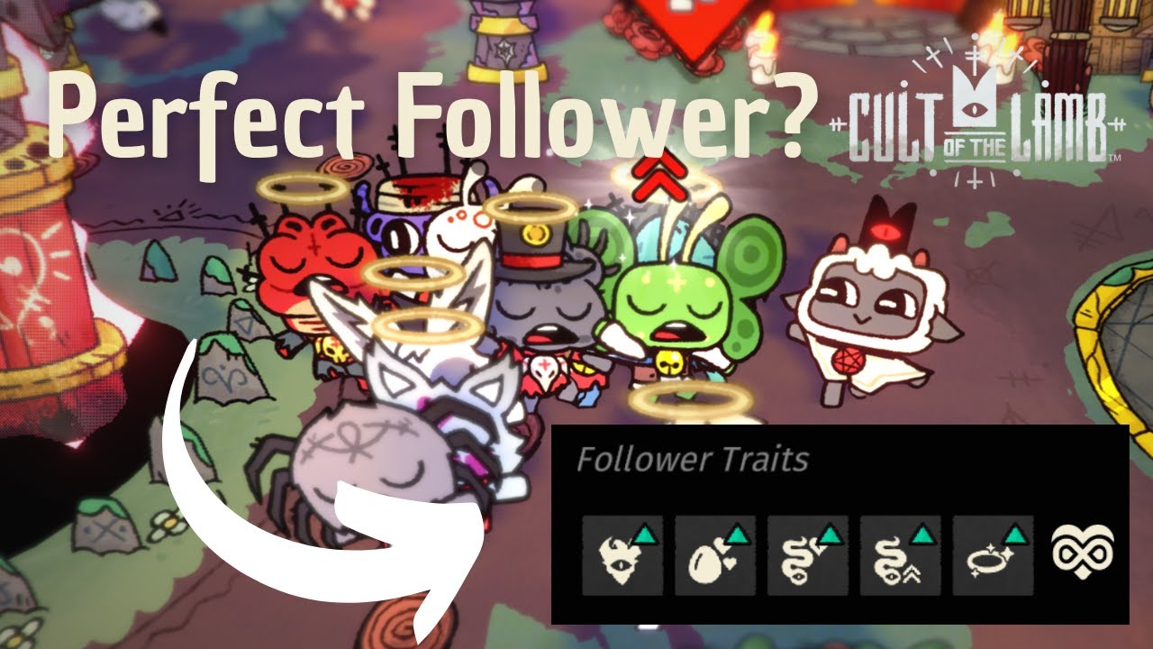 Is it possible to make the perfect follower? | Cult of the lamb