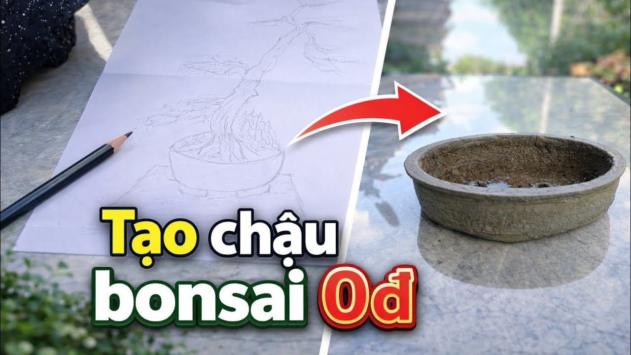 Tạo chậu cây 0đ theo Demo.|Kể chuyện Bonsai.