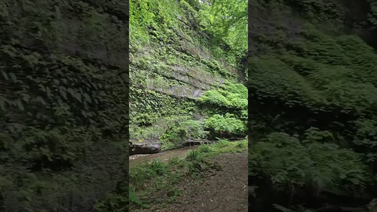 Easy Hiking Near Tokyo