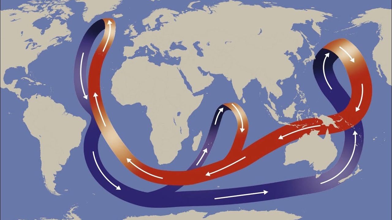 🌎Corrientes Oceanicas, El motor del Planeta.🌎