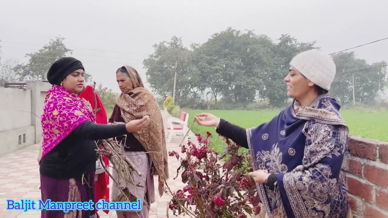 Husan te Gareebi // Part 29// ਹੁਸਨ ਤੇ ਗਰੀਬੀ//ਭਾਗ 29