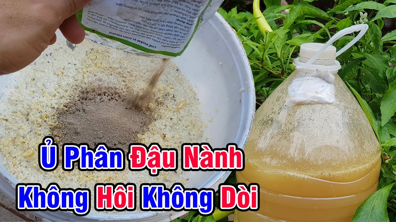 Cách ủ phân đậu nành không hôi không dòi chuẩn GE