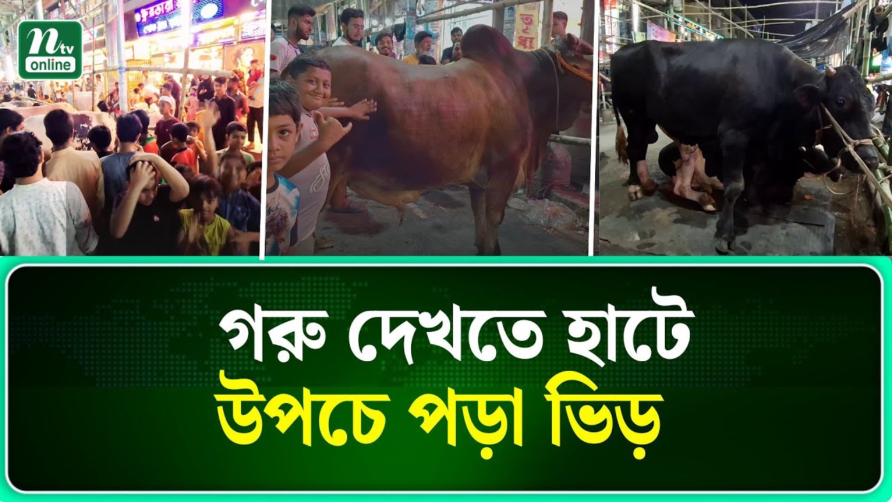 কেরানীগঞ্জের জিনজিরা হাটে গরু দেখতে মানুষের উপচে পড়া ভিড়| Keraniganj| NTV News