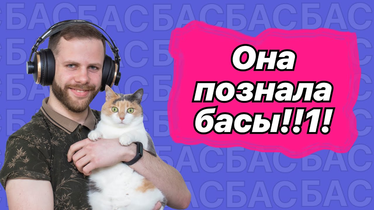 ТОП БАСОВИТЫХ НАУШНИКОВ | НАУШНИКИ С МОЩНЫМ БАСОМ | МНОГО БАСА!