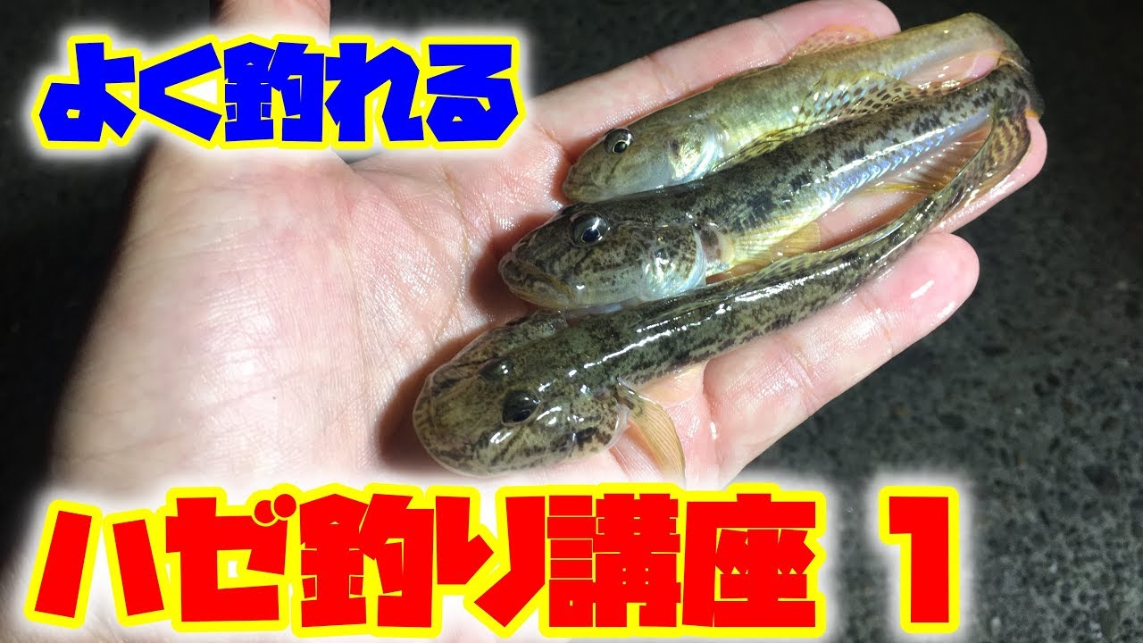 よく釣れるハゼ釣り講座【解説】季節毎あたり合わせ編