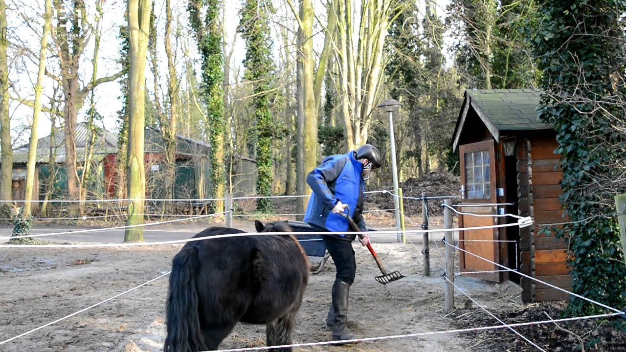 Dagbesteding en Logeren bij SEIN