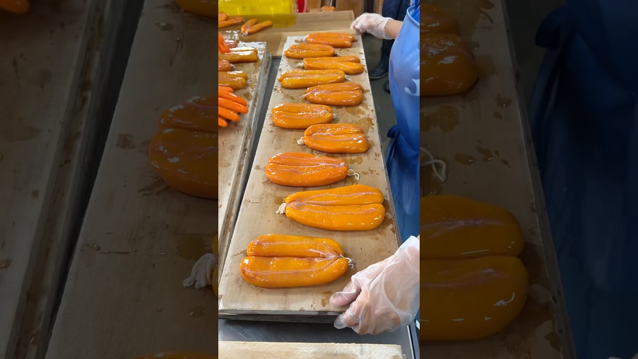 Luxurious Fish Roe! Mullet Roe Making in Taiwan #fish #luxury #seafood #shorts