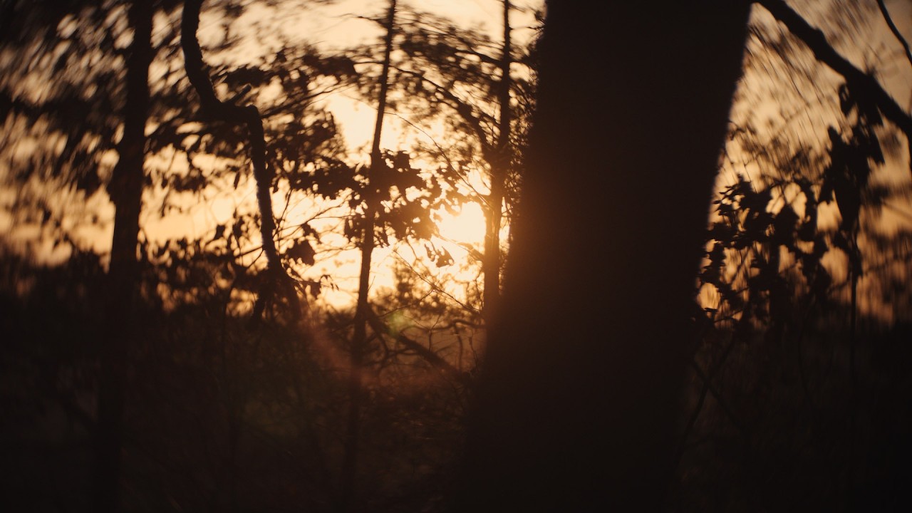 Cinematic memories February 2026 | BMPCC OG