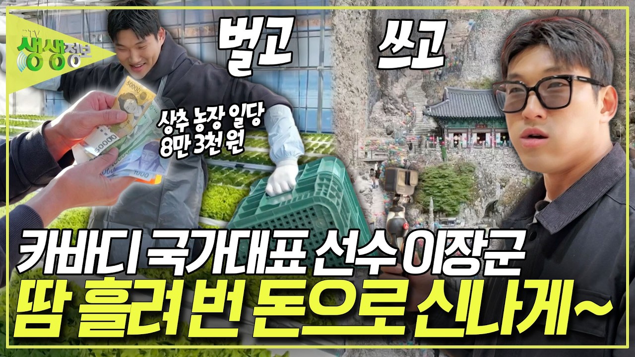 열심히 땀 흘려 번 돈으로 신나게 즐기자! 상추 농장에 취업(?)한 이장군 선수의 자급자족 진안 여행기 [2TV 생생정보] KBS 260317 방송