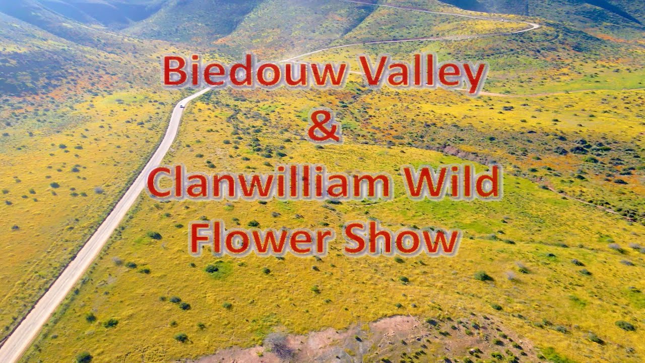Clanwilliam:  Biedouw Valley & Wild Flower Show