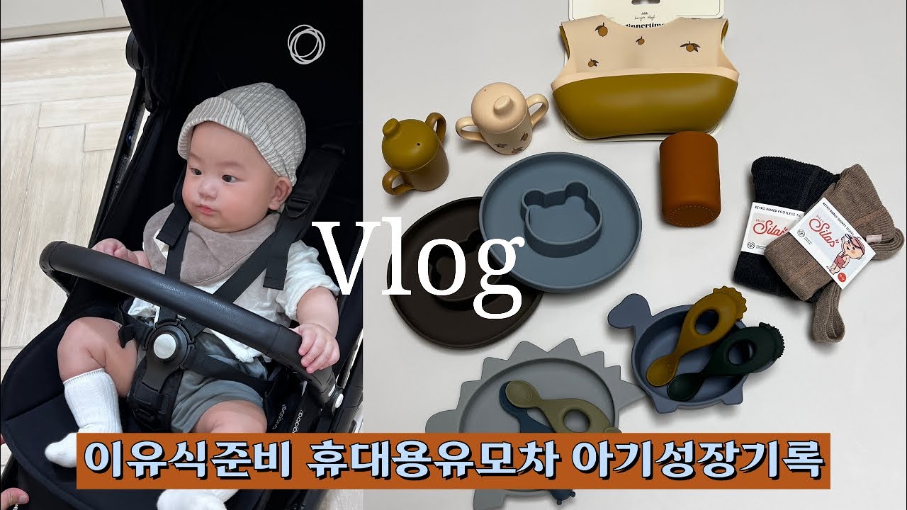 육아Vlog. 부가부버터플라이•이유식준비•아기성장과정