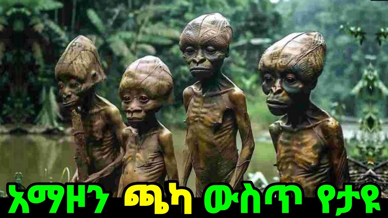 በአማዞን ጫካ ውስጥ የተገኙ እንግዳ ነገሮችና