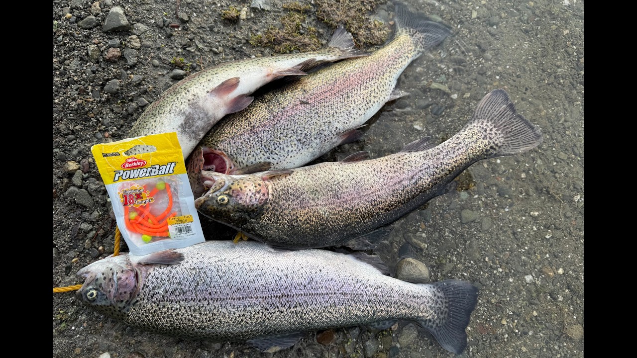 Quarry Lakes Fishing Bait and Lures