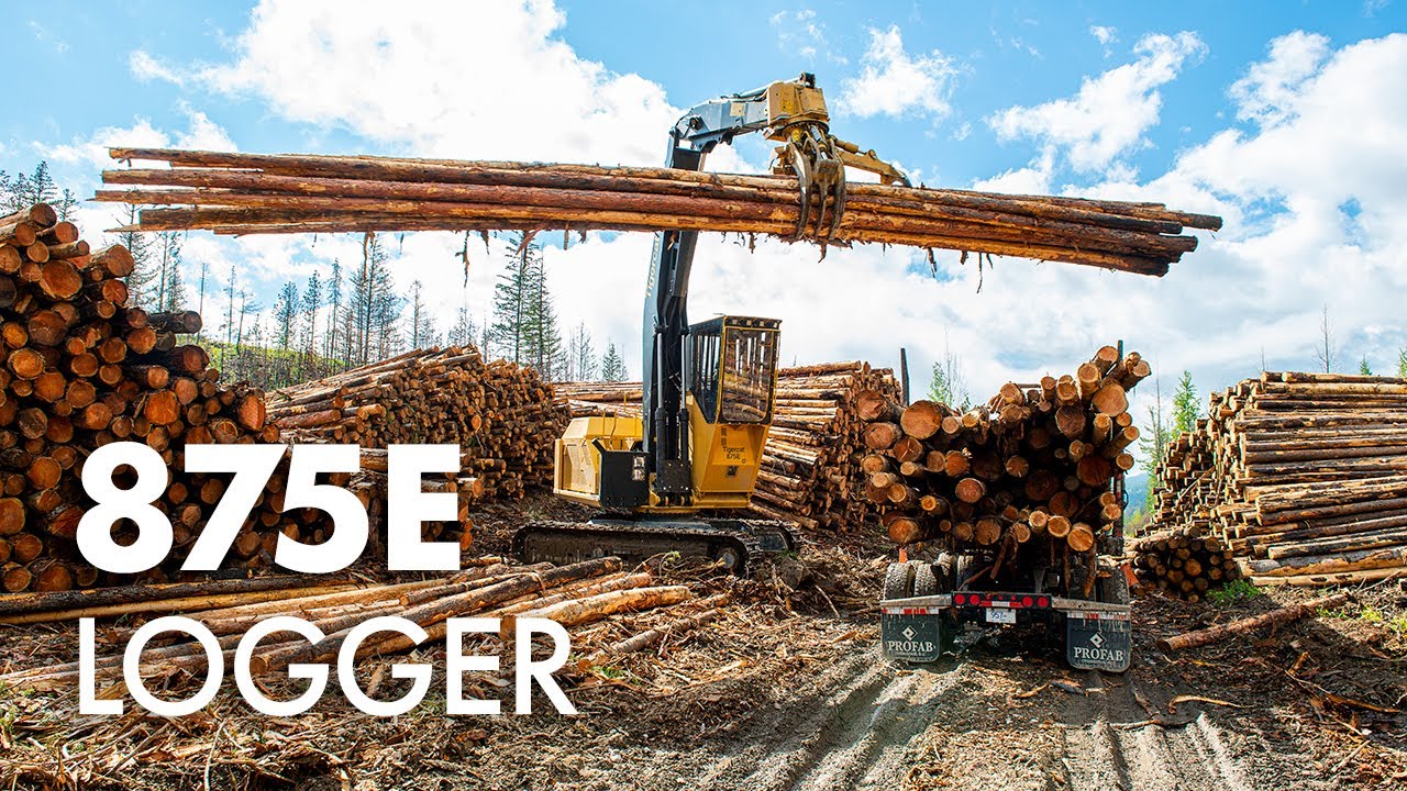 Tigercat 875E Logger in British Columbia