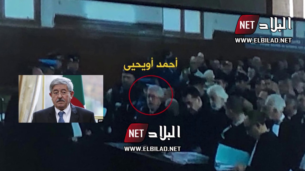شاهدوا بالصوت والصورة ما يدور بين أويحي والقاضي