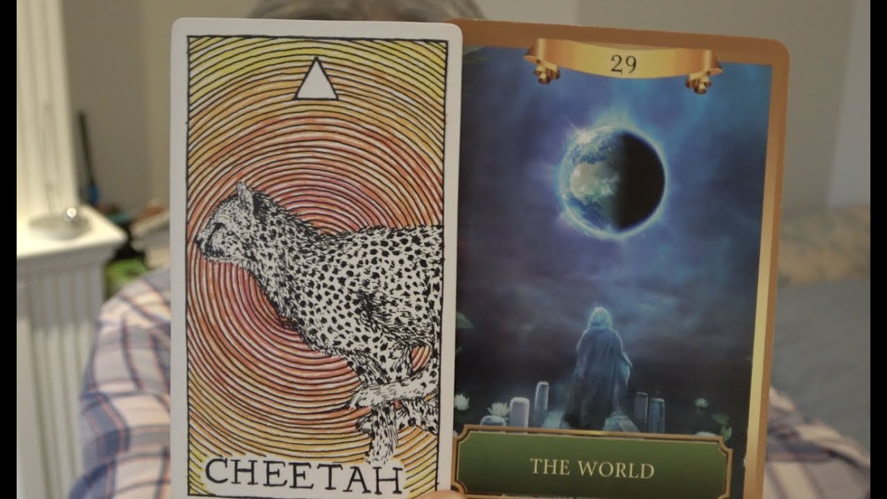 Libra - 2020 Predictions - Release & Receive - What the New Year is Bringing.