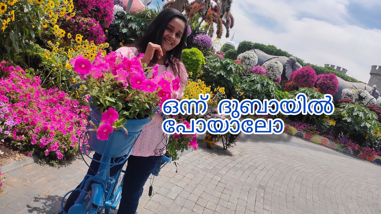 Dubai Miracle Garden||Wings of Books