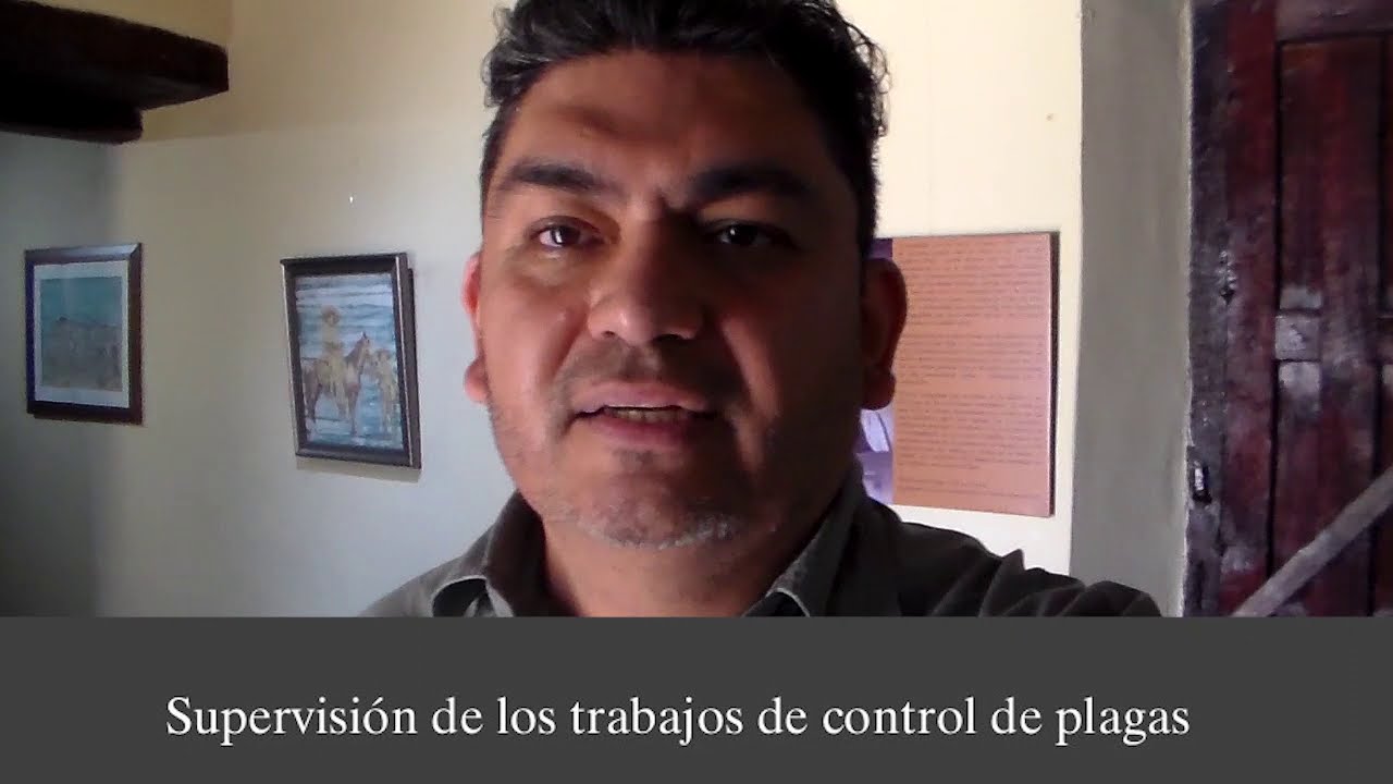 Trabajos de fumigación en la Hacienda San Pedro 