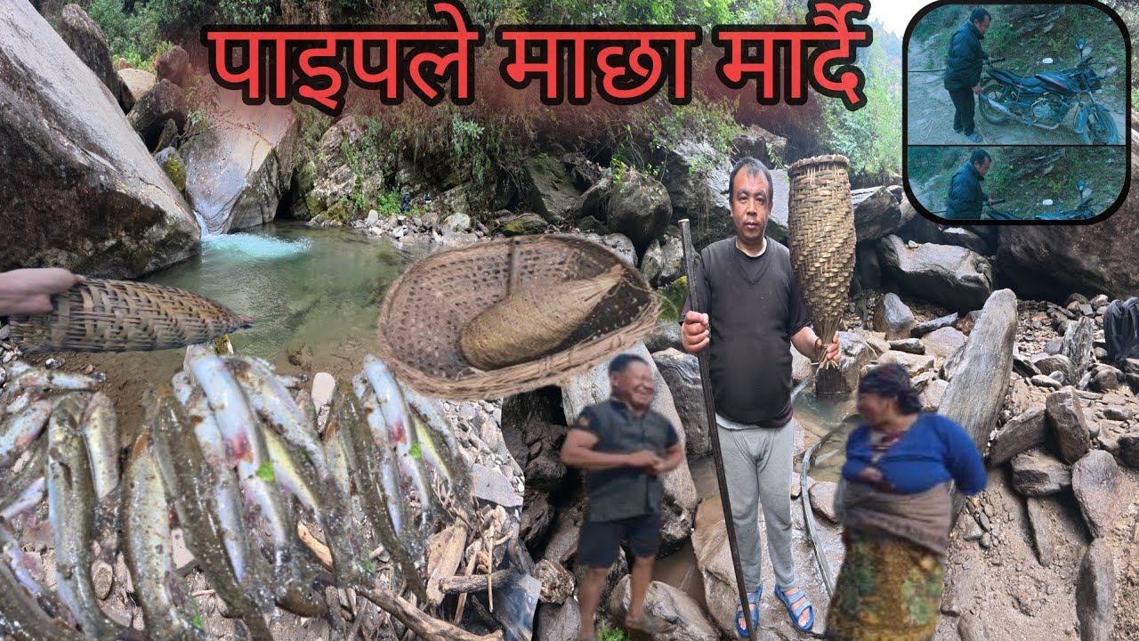 नयाँ तरिकाले यति धेरै माछा मारियो। माछा मार्दै Hemraj YouTube channel 