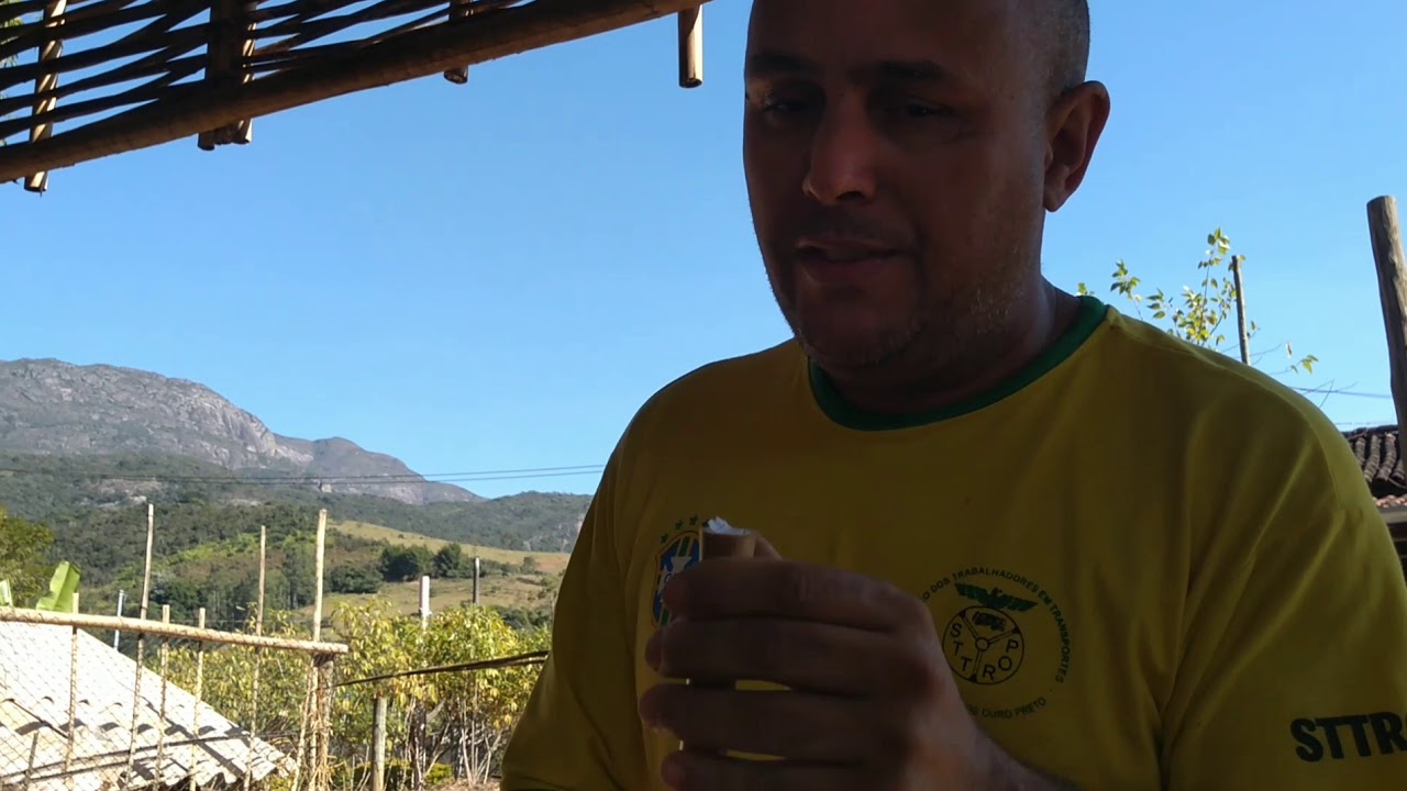 Como encurva a vara de  bambu