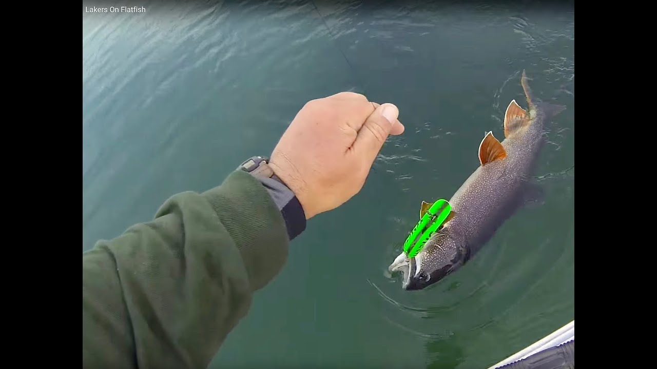 Trolling Lake Trout On Flatfish: Spoon Plugging Basics From Plummer's Lodges