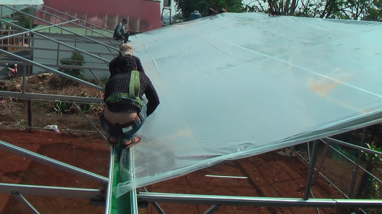 Cách lợp mái nylon nhà kính cực kỳ đơn giản cho ai tự làm nhà kính.