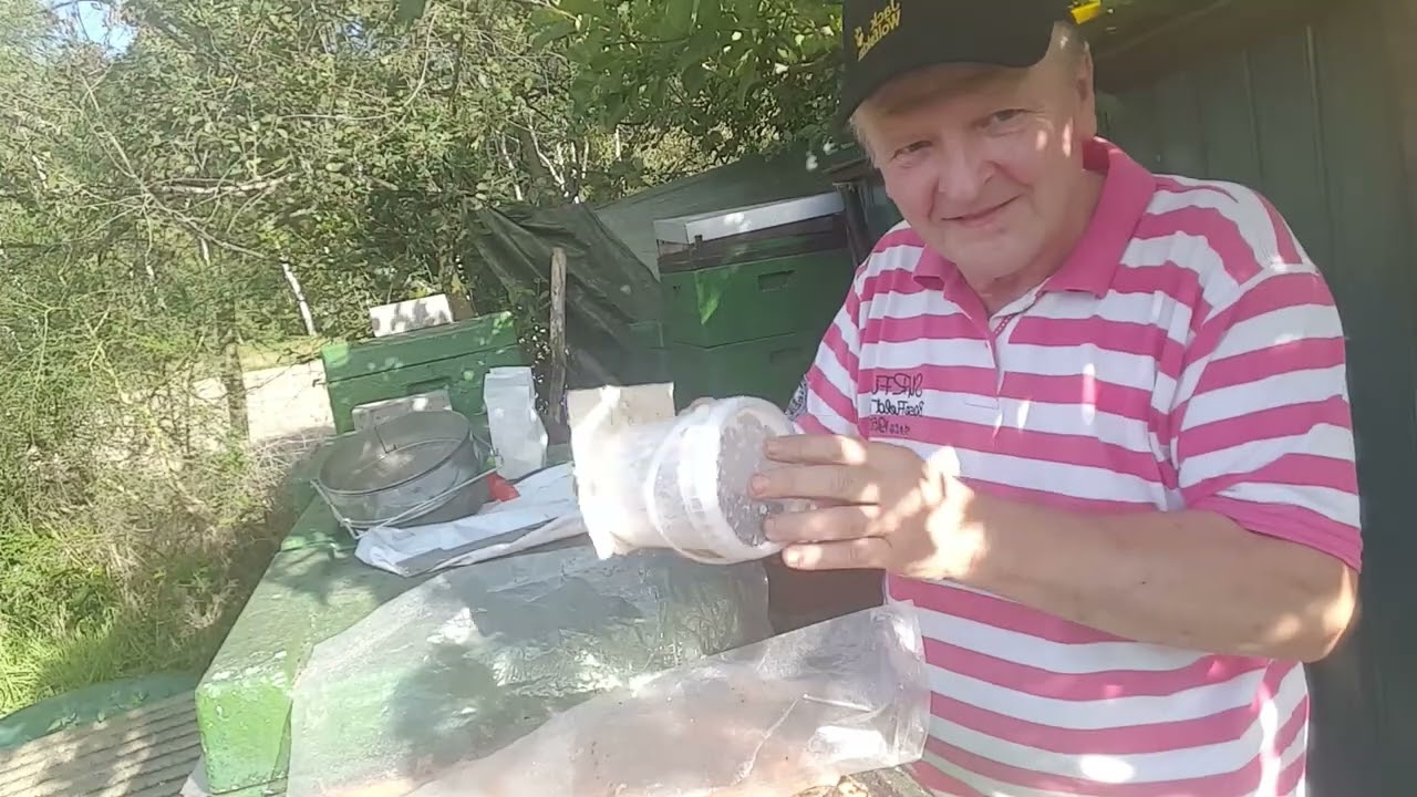 Varroakontrolle Teil 2.  Die Puderzuckermethode ist  eine gute Methode bei der Bienen.