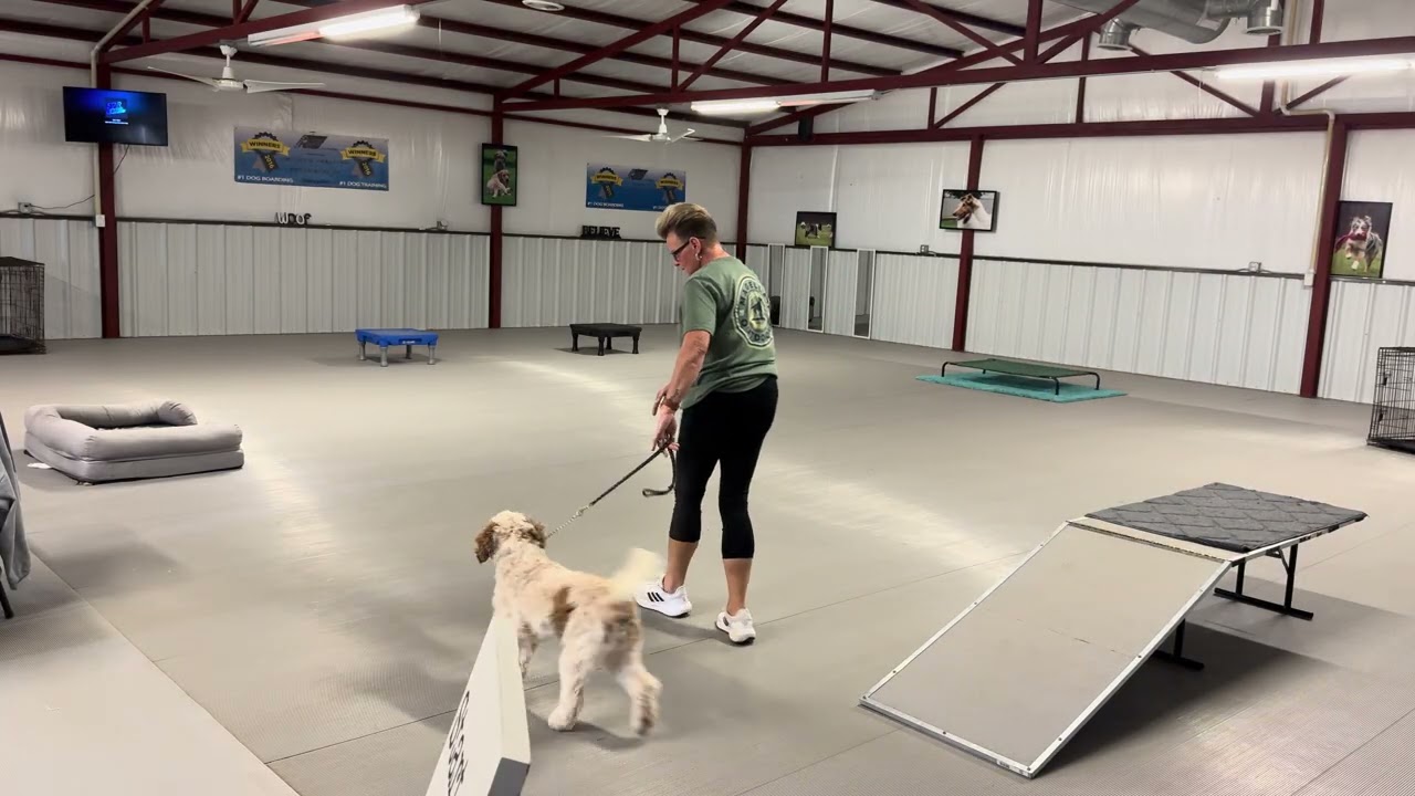 Barnaby-Board and Train Program