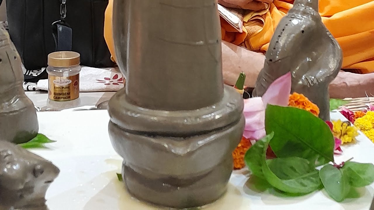 शुक्ला की दुनिया  लाइव है!हर हर महादेव