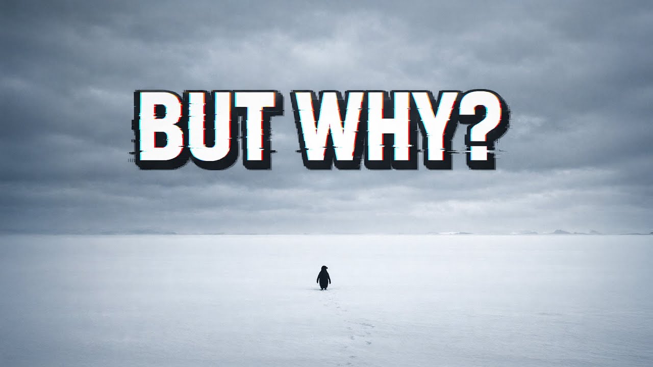 The Mystery of Viral Penguin Video